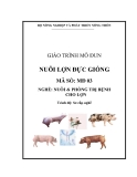 Giáo trình Nuôi lợn đực giống - MĐ03: Nuôi & phòng trị bệnh cho lợn