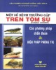 Ebook Một số bệnh thường gặp trên tôm sú - Các phương pháp chẩn đoán và biện pháp phòng trị: Phần 1