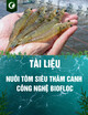 Tài liệu Quy trình kỹ thuật nuôi tôm siêu thâm canh công nghệ biofloc