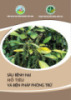 Tài liệu Sâu bệnh hại hồ tiêu và biện pháp phòng trừ