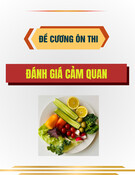 Đề cương ôn thi cuối kì môn Đánh giá cảm quan