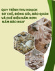 Quy trình thu hoạch, sơ chế, đóng gói, bảo quản và chế biến nấm rơm, nấm bào ngư