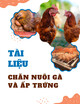 Tài liệu hướng dẫn Chăn nuôi gà và ấp trứng