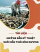 Tài liệu Hướng dẫn kỹ thuật nuôi hầu Thái Bình Dương (Crassostrea gigas)