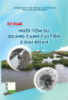 Tài liệu Kỹ thuật nuôi tôm sú quảng canh cải tiến 2 giai đoạn